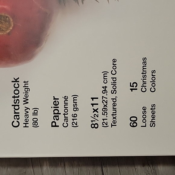 Card Stock Pack, 80lb Christmas Colors - Picture 2 of 6